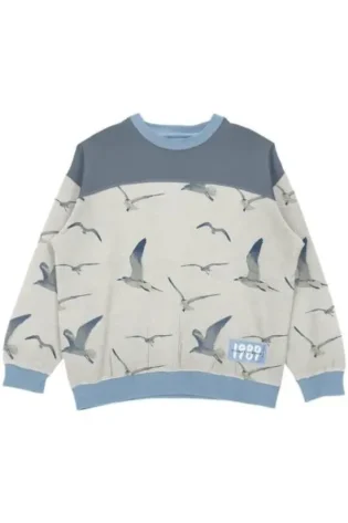 taylor swift seagull sweatshirt