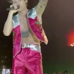 Harry Styles Concert Pink Strawberry Vest